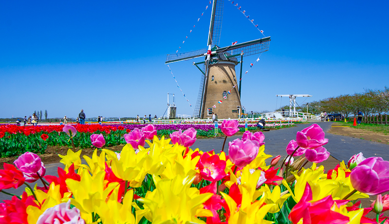 tuq`[bvtFX^v͊֓ő勉II_ԂƂ̃R{͂̑i