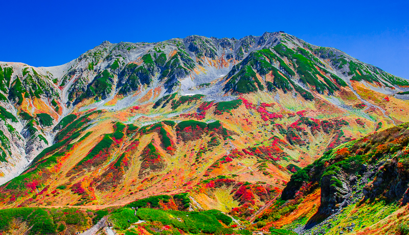 ���R�E�����͍g�t�̖����I�x�R�����ւ�H�̑��i������������I