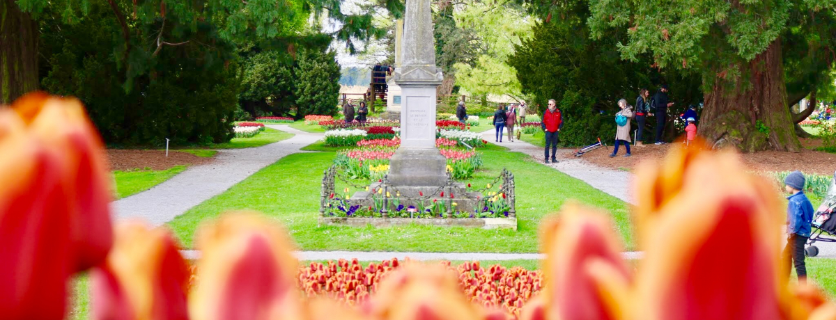 tĂԃ`[bvՁI▋̗dXCX̃W