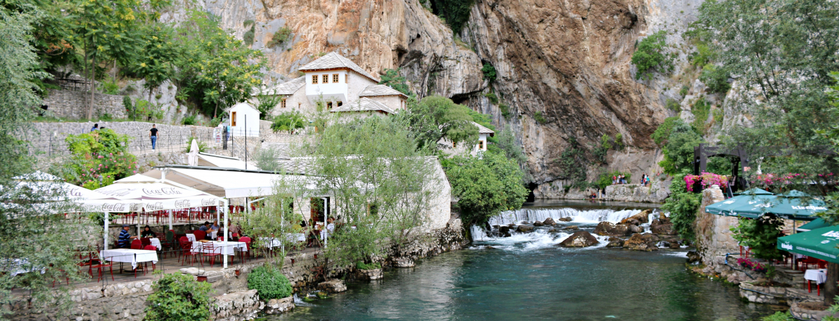 ���ڂ̃{�X�j�A�E�w���c�F�S�r�i�I���E��Y�̊X���X�^���Ƌߍx�̗�