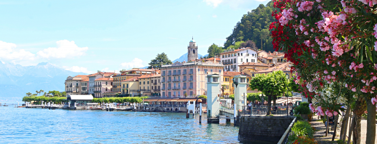 C^AgR΂̐^huxb[Wv1όI