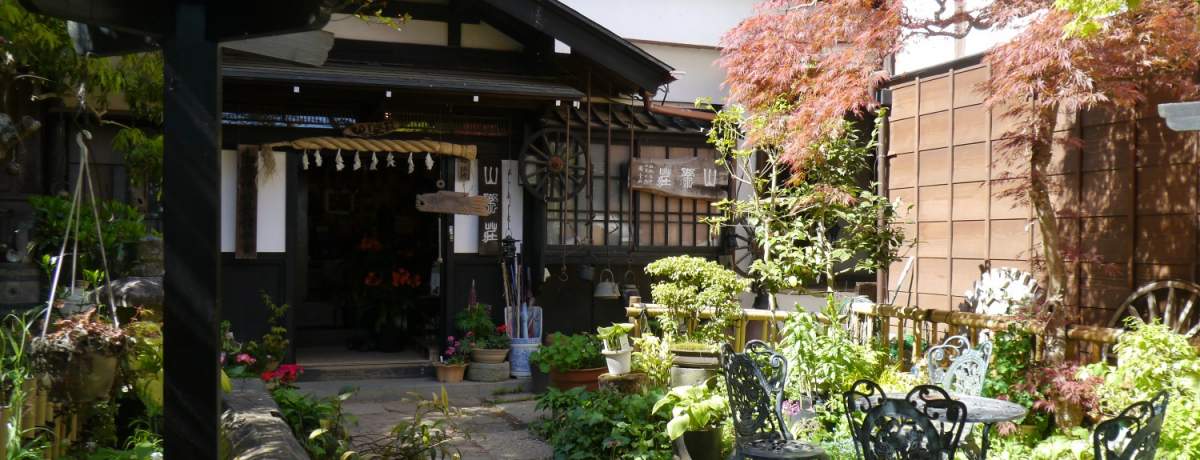 �킸��12���I�������E��x�̌��I�ȏh�V�u�_�T�� �R�y���v