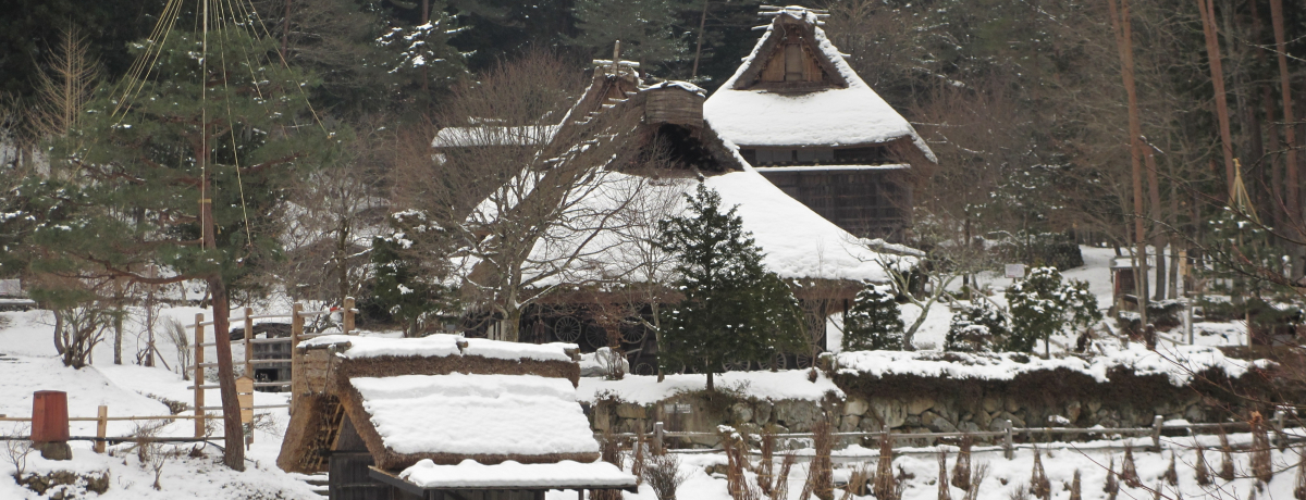 �~�����s�����I���R�u��˂̗��v�ŁA��������̏W����̌�