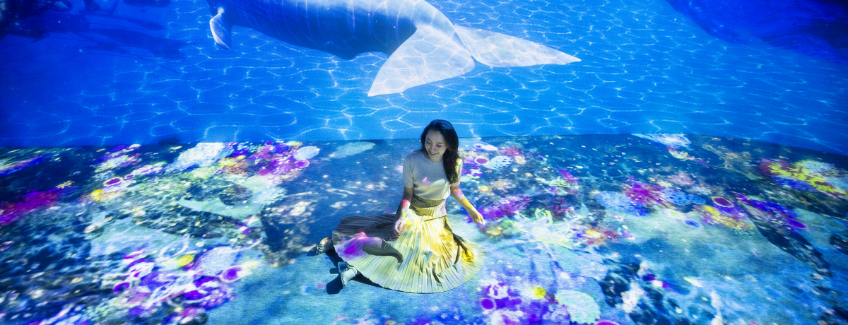 lɗ{!?uOCEAN BY NAKED ̐[CWv{㗤