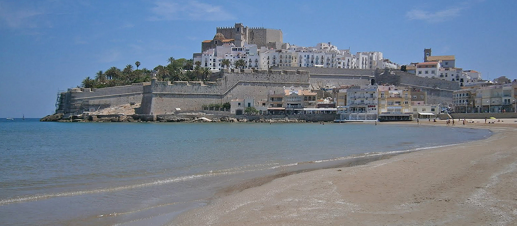 I[V[Y݂͌̊Cӂ̊XIXyCEyjXR