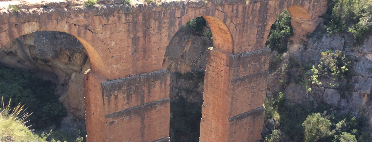 KChubNɍڂȂdvՁu`Fo̐/yjER^[_viXyCj