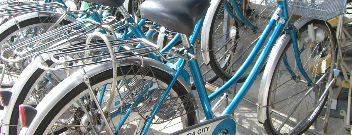 w]Ԃ̊Xx~wp̊Xxw΁xTCNOŏ낤I