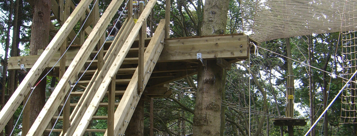 �}�g�R�ő�l�̃A�X���`�b�N�I�u�t�H���X�g�A�h�x���`���[�E���΁v