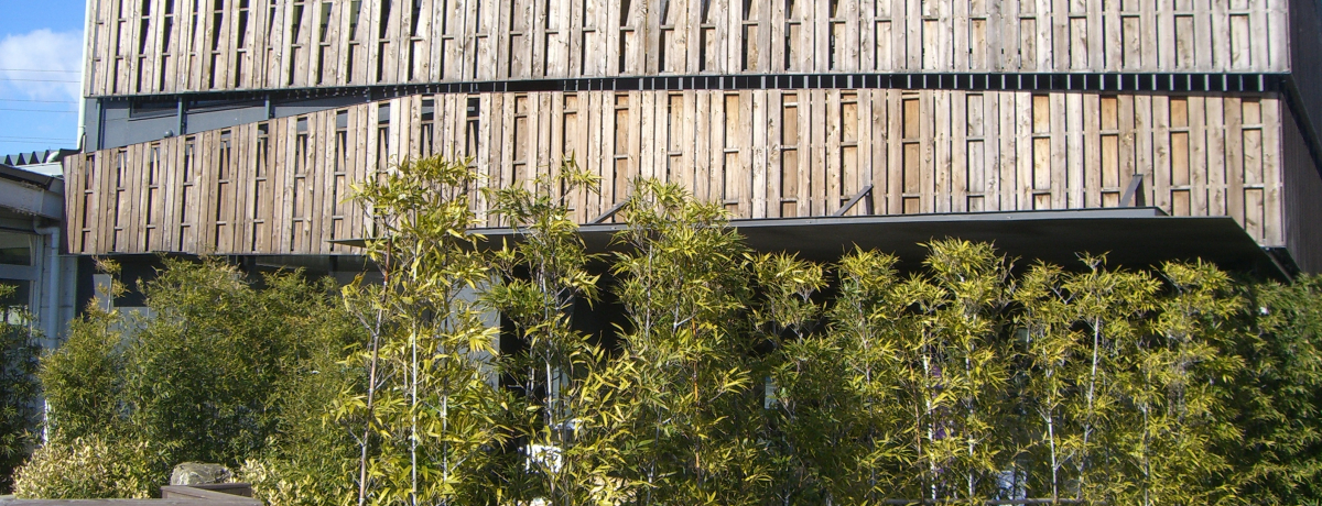 �z�n�̘V�܁u�ێR�C�ۓX�v���΍H��ŗ����C�ۑ̌��I