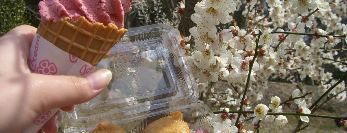 }gR~܂̊yݕIJÁu}gRK}̖vu~HvāHI