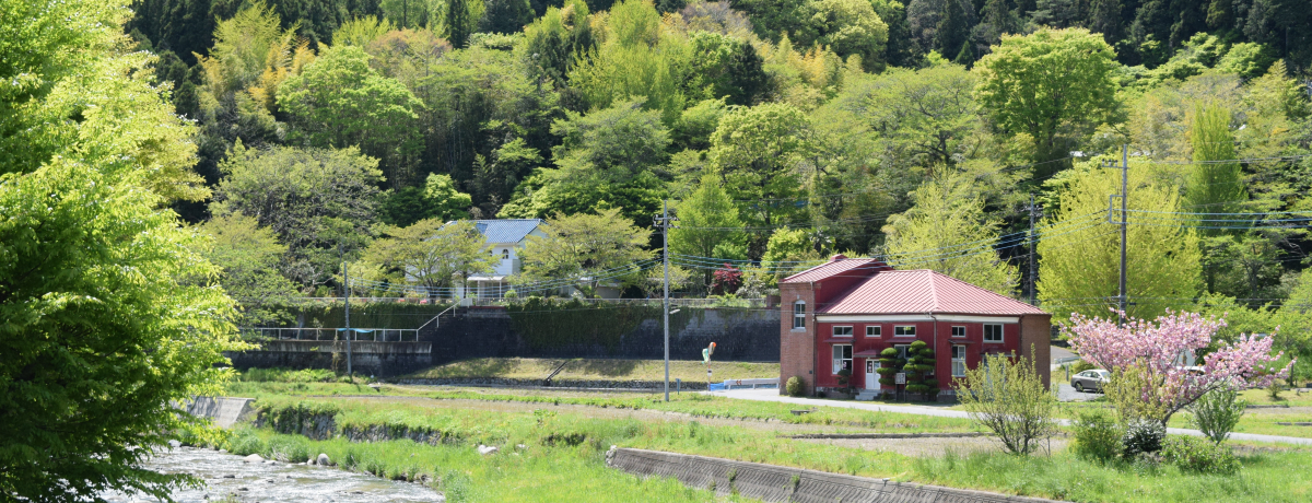 wЂx̃Pn̓RRI錧헤csuϓdv