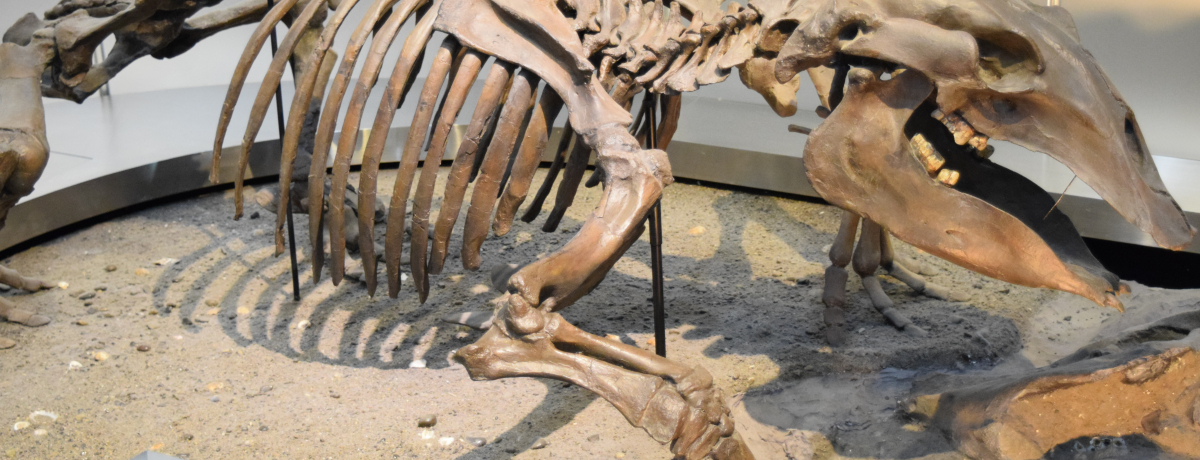 nmɃ`W!?unW{فv錧Ύs