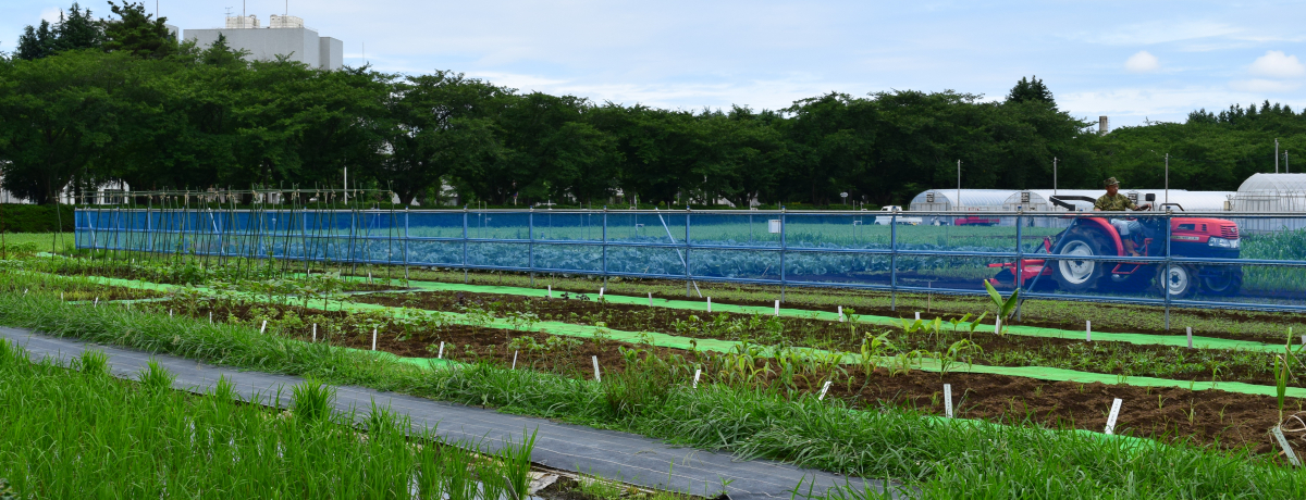 uHƔ_̉Ȋwفvy݂ȂH_ƂɂĊwڂI