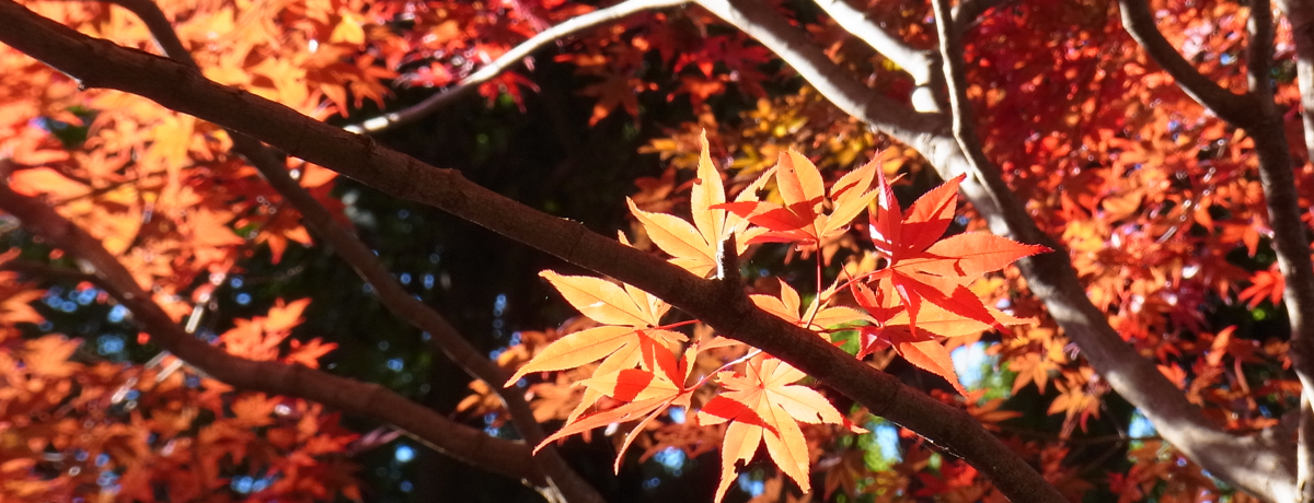 ^Ԃɐ܂тLǏÙ`Ύ~p