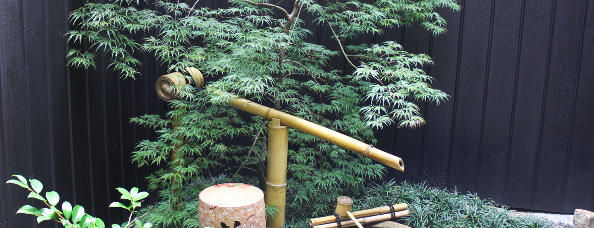 �z�S�N�̌Ö��Ƃ����m�x�[�V�����u���s�Q�X�g�n�E�X�䗷���v