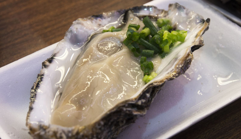 荠iŐHׂ邫Iuߍ]svŊC̍Kɐ