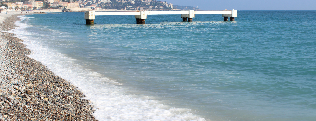 R[gE_EW[̂܂΂䂢z߂CAj[XB