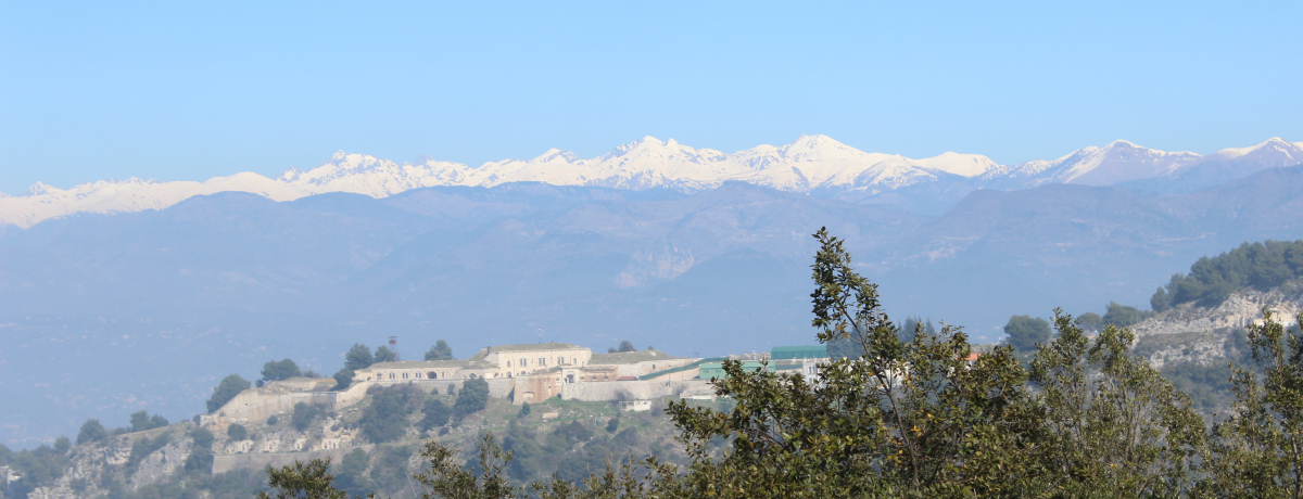 �A���v�X�����Ȃ���[�ċz�I�j�[�X�̎��R�����u�O�����f �R�[�j�b�V���v