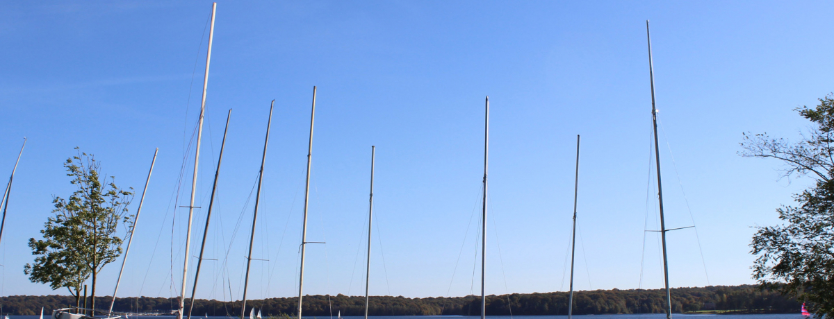 �u���B���[�W�� �h�D ���[ �h�[�v�Ńx���M�[���厩�R�X�e�C�I