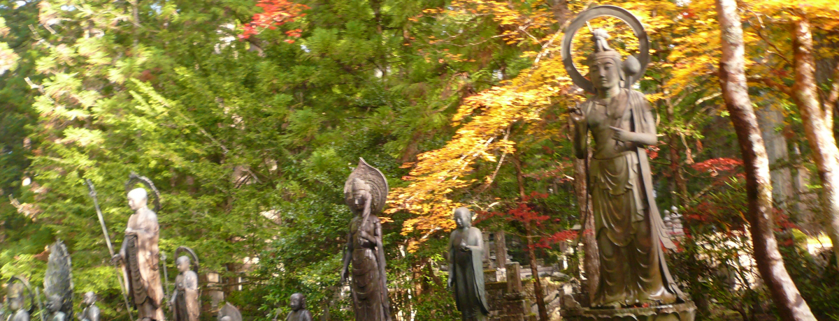 RŎƏH̃R{[VfGȍgt悤I