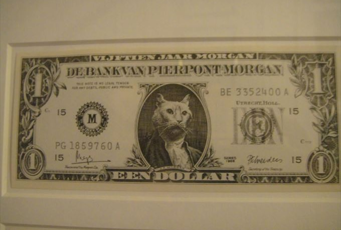 �ǂ������������L�A�L�A�L�I�A���X�e���_���̔L������