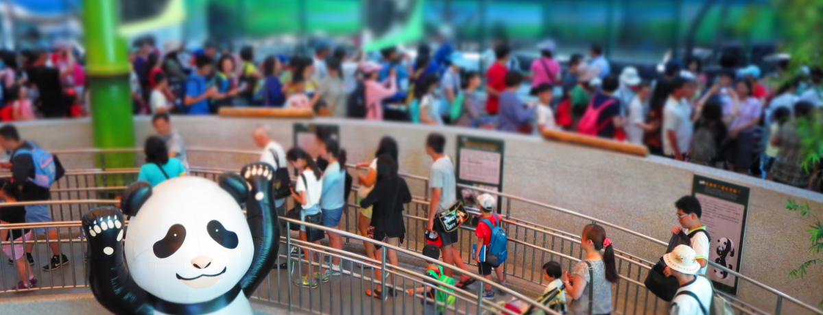 �p���_�ɂ����Ƃ�A�L�ł܂�����B����ȑ�k���s�̃X�X��