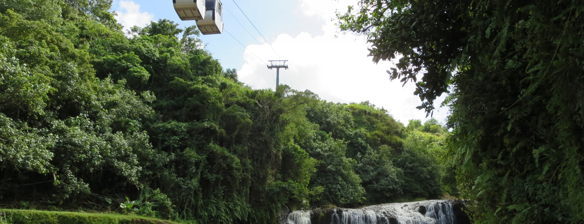 �V���[���ŃL�b�`���ȃO�A���u�^���t�H�t�H�t�H�[���Y�E���]�[�g�p�[�N�v���y���߁I