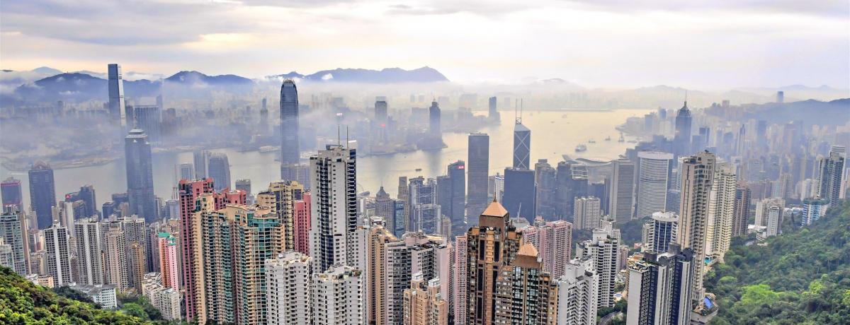 mȂH`E̃rNgAs[Nڎw