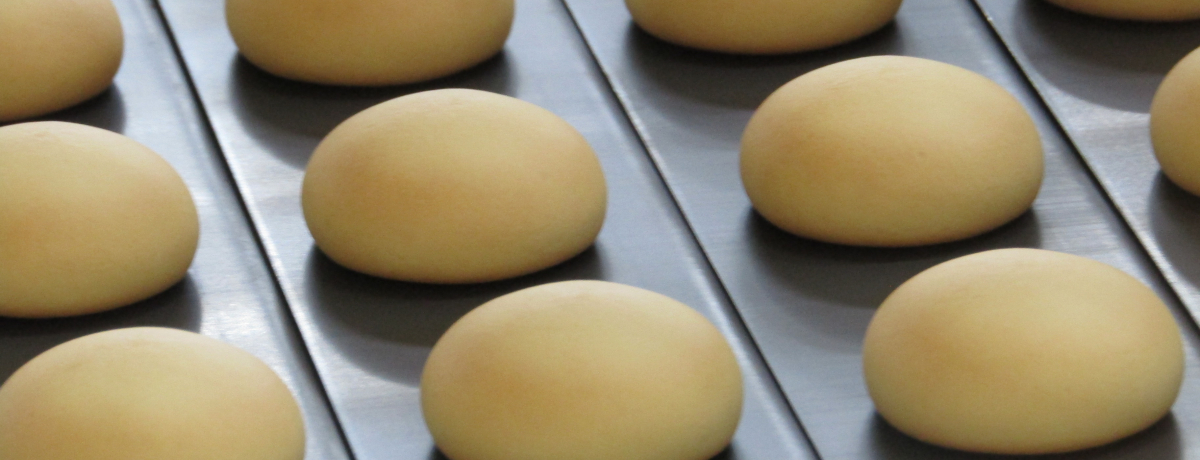 �V�����I�����فu�݂邭�\�� �����ρv�̍H�ꌩ�w���y����