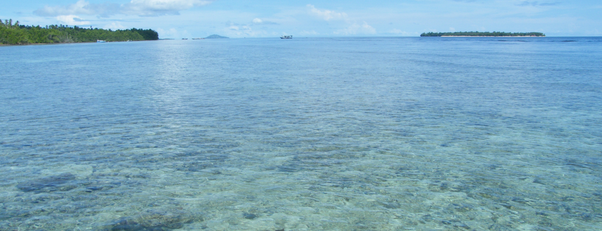 Ƃ͖̐CBChlVÁuihvŗVсA낮