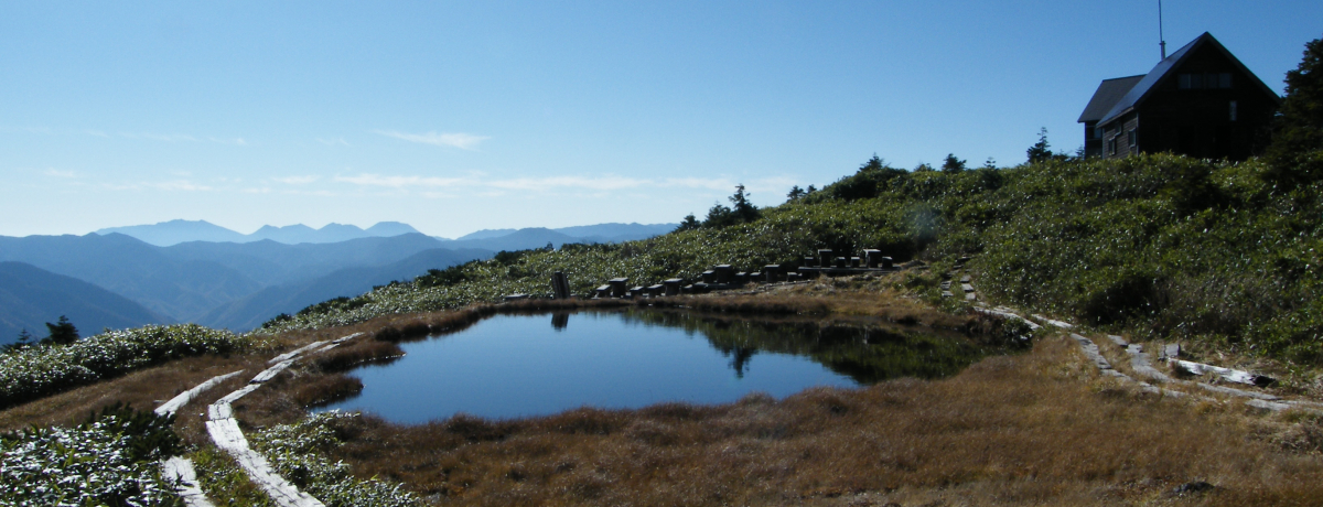 �o�R���S�Ҍ����I�������������̕S���R�u��Ë�x�v�ւf�n�I