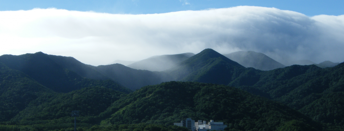 ���E���R��Y�u�m���v�Ńn�C�L���O�I�m���܌΂ƃI�����R��ŃV���[�g�g���b�v