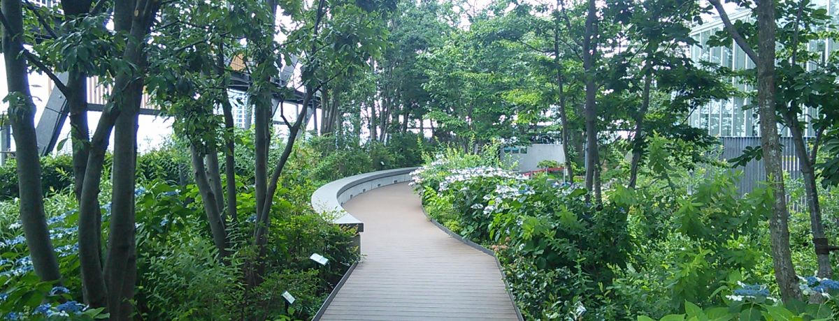 s̃IAVXÎƂ܃GR~[[^ÉuJꂽv