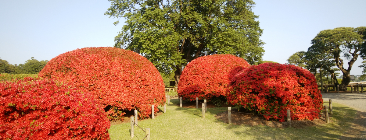 ~ɂ炸Iˁuyv̓ccWǂI