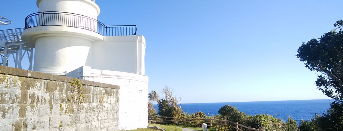 Ii{Enj̉ݕ͋gF썑̌inÂI