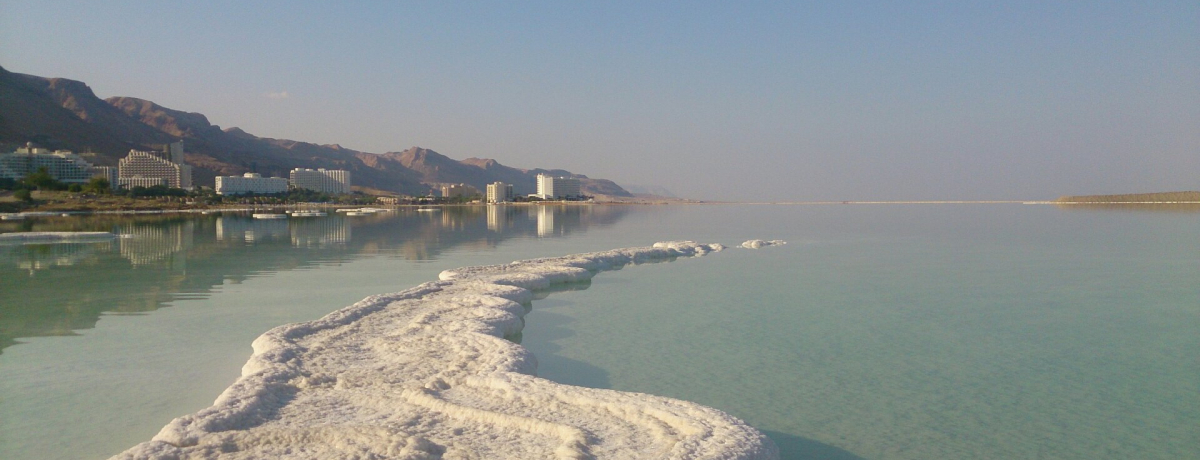 CXGsAIC̓t@^W[ȉ̐E