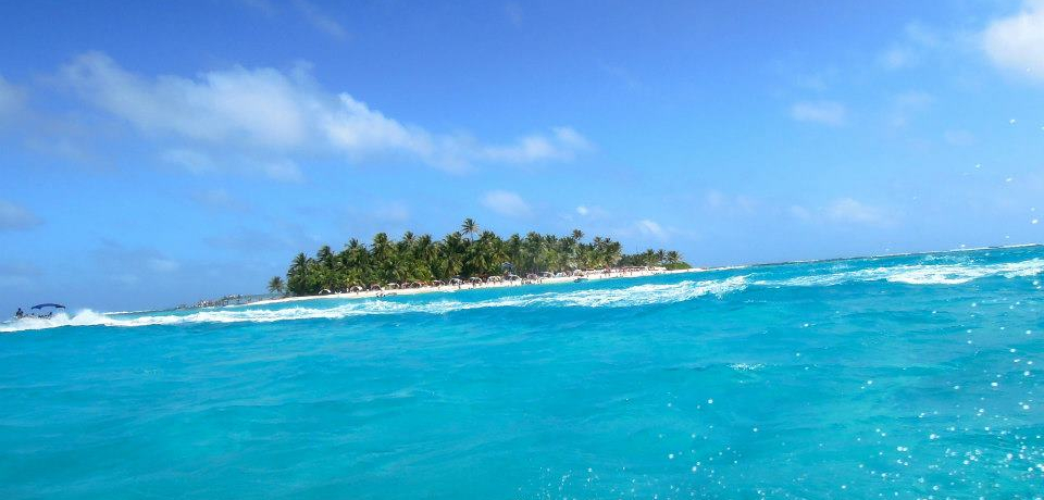 JuCɕԁuTAhXv̓RrÂ̊yI