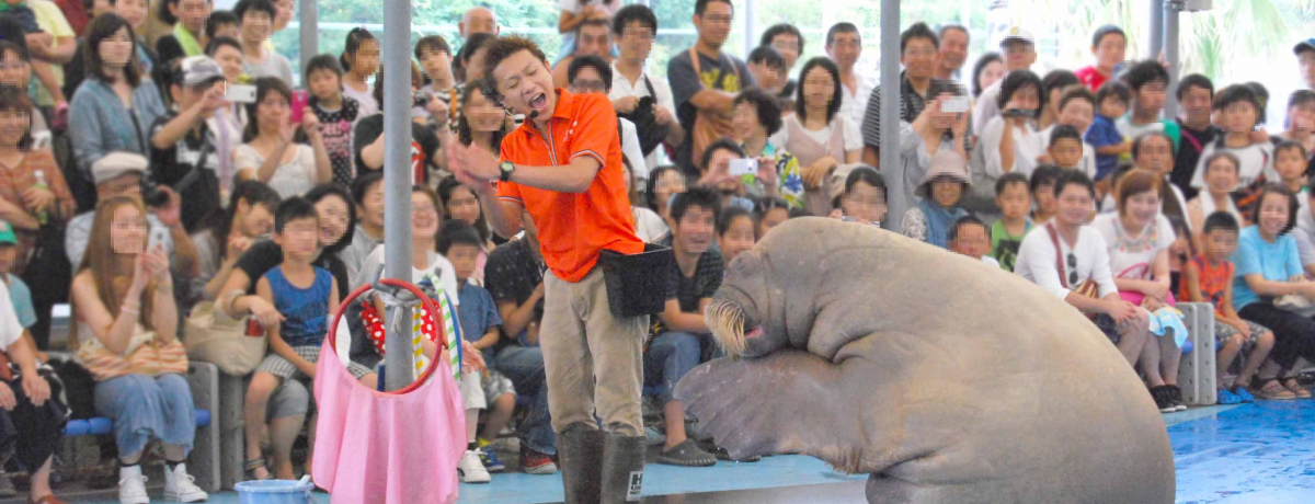 �K���I������|�̃Z�C�E�`�p�t�H�[�}���X�΁i�V���[�j�I���H�����قŏ΂����Ƃ܂�܂�����I