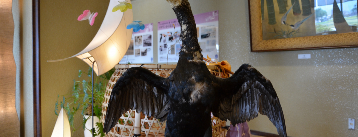 LH𔲂đDցIǐ͔̉ȂɘȂޏhu\Ov