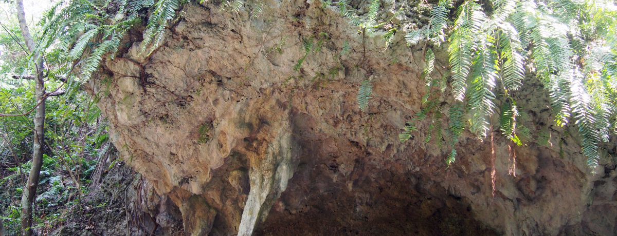 ԂȂły߂A암ւ̗s̊όX|bg