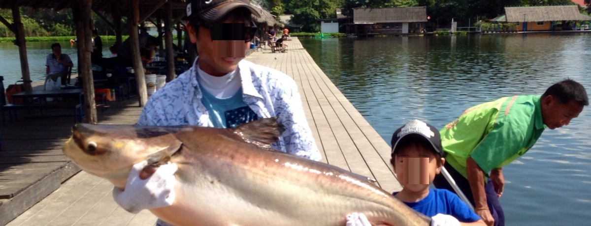 �ނ�D���K�K�I�o���R�N�ߍx��50kg������i�}�Y��ނ낤
