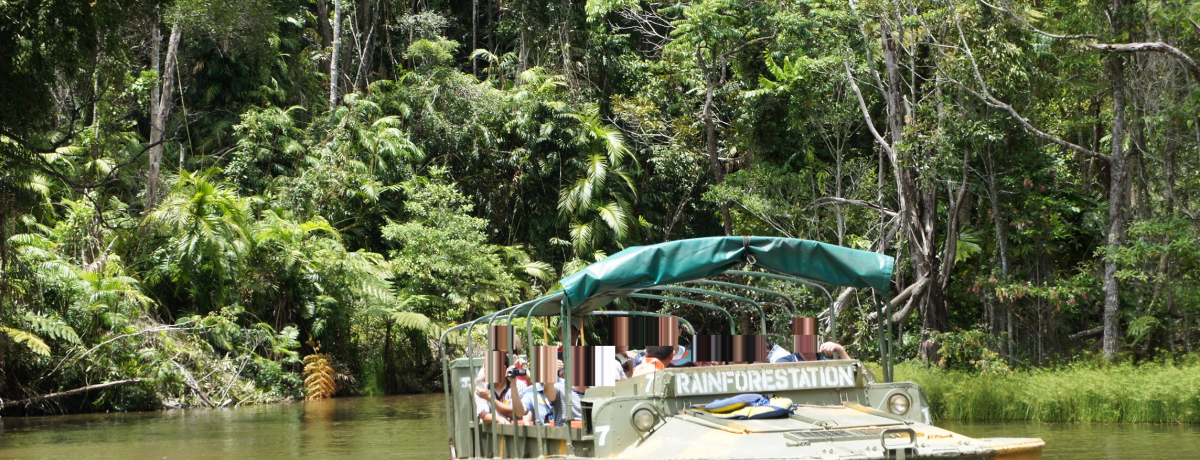 �P�A���Y���I�M�щJ�т܂邲�Ƒ̊�1���c�A�[�I