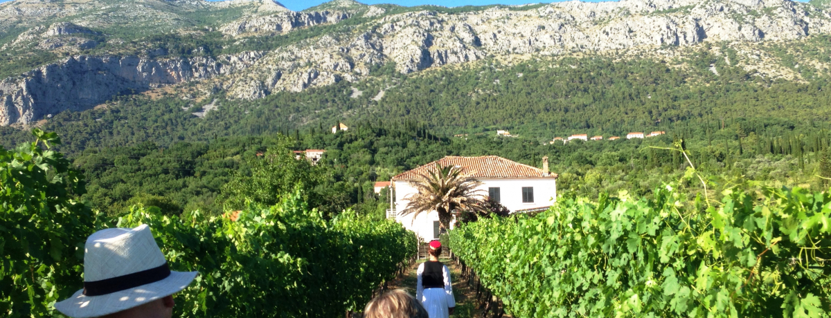 ���C���D���K�K�I�N���A�`�A��R�i�����n���Ń��C�i���[����