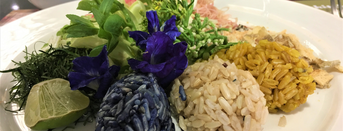 oRNŘbIt^ʃ^CXguVISTA KITCHENv