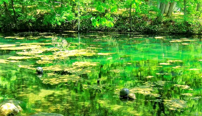 �x�ǖ��i�̌���I�u���������v�̃G�������h�O���[���ɋ���