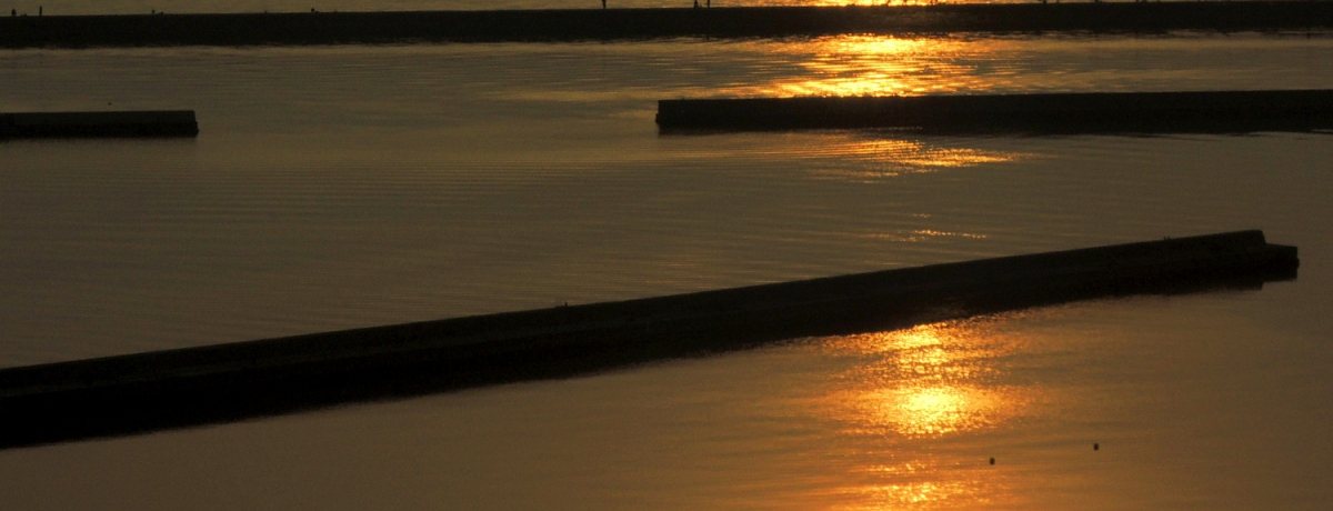 V[TCh[Œ]ށIwOhp[NMx_Ɋόf[gI