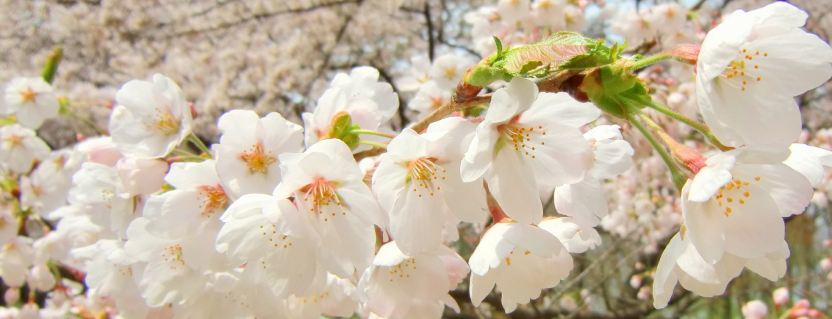 ԂO킢IGW͍c΂ŃhCu͂!?