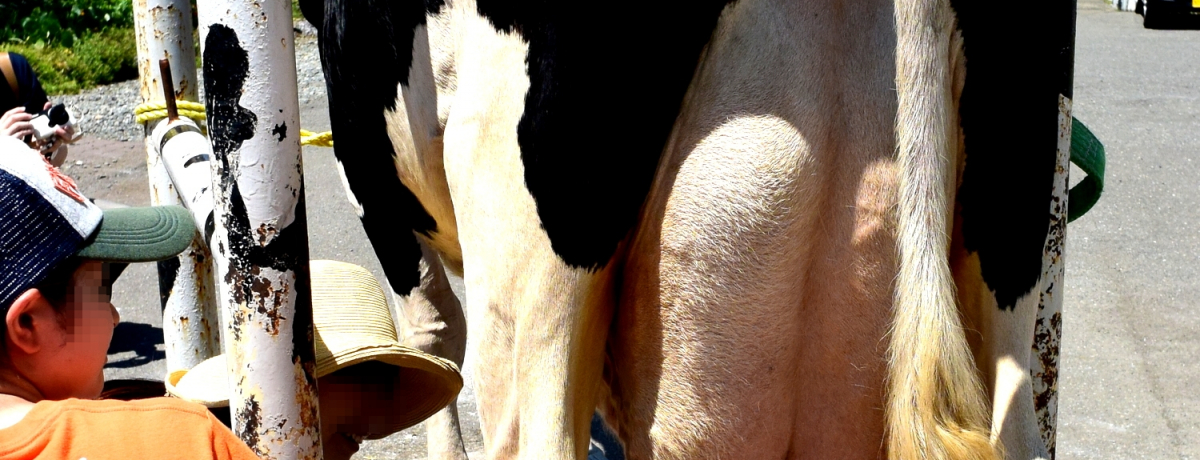 ZOEFC~_̌IV΋`30̢ނ炩ݖqꣂʔI