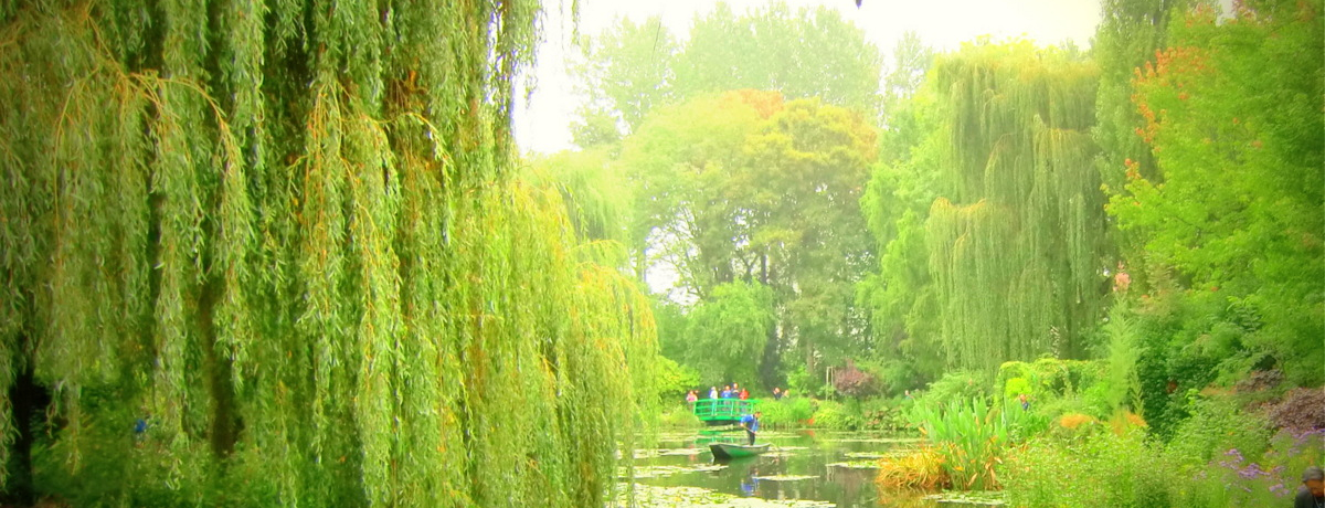 lw@x̐EIEWFj[ƃIW[pقŌ̌|pɑI