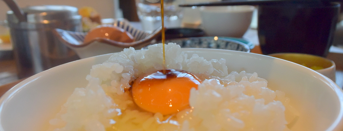 �������ꂽ���s�̔���ԃ��[�j���O�u���_���e���X���s�v��